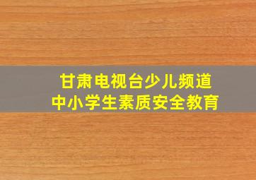 甘肃电视台少儿频道中小学生素质安全教育