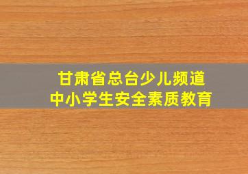 甘肃省总台少儿频道中小学生安全素质教育