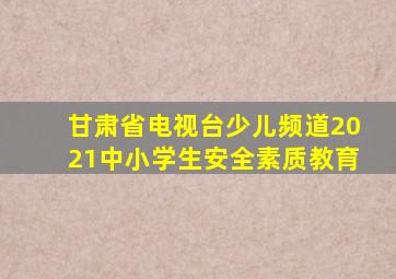 甘肃省电视台少儿频道2021中小学生安全素质教育