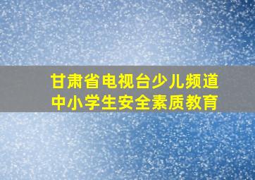 甘肃省电视台少儿频道中小学生安全素质教育