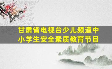 甘肃省电视台少儿频道中小学生安全素质教育节目