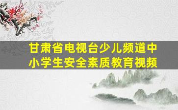 甘肃省电视台少儿频道中小学生安全素质教育视频