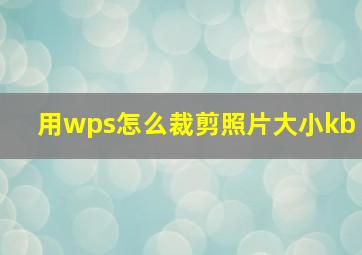 用wps怎么裁剪照片大小kb