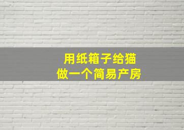 用纸箱子给猫做一个简易产房