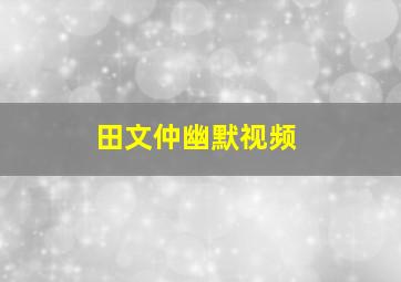 田文仲幽默视频