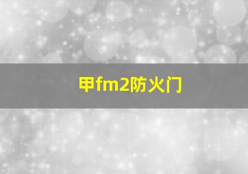 甲fm2防火门