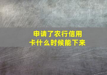 申请了农行信用卡什么时候能下来