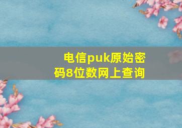 电信puk原始密码8位数网上查询