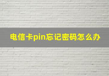 电信卡pin忘记密码怎么办