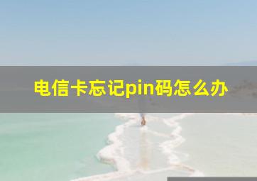 电信卡忘记pin码怎么办