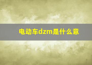 电动车dzm是什么意