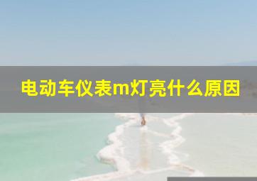 电动车仪表m灯亮什么原因