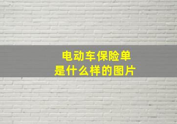 电动车保险单是什么样的图片