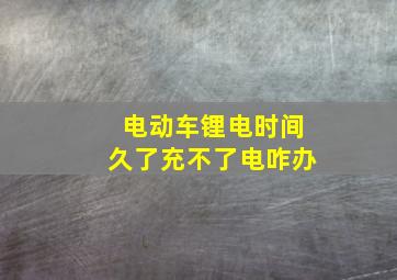 电动车锂电时间久了充不了电咋办