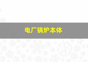 电厂锅炉本体