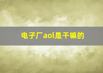 电子厂aol是干嘛的