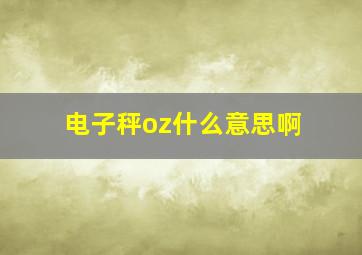 电子秤oz什么意思啊