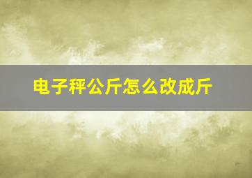 电子秤公斤怎么改成斤