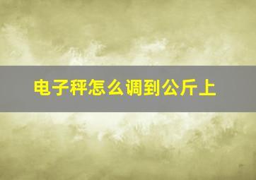 电子秤怎么调到公斤上