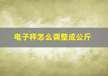 电子秤怎么调整成公斤