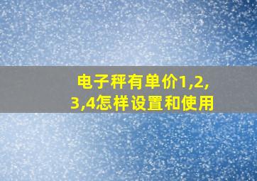 电子秤有单价1,2,3,4怎样设置和使用