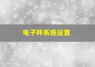 电子秤系统设置