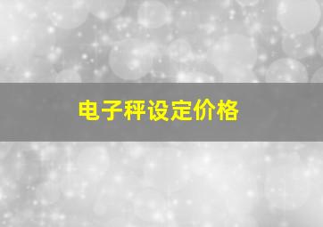 电子秤设定价格