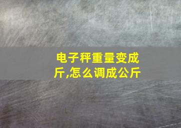 电子秤重量变成斤,怎么调成公斤