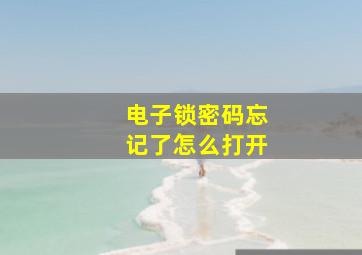 电子锁密码忘记了怎么打开