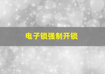 电子锁强制开锁