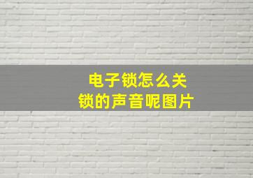 电子锁怎么关锁的声音呢图片