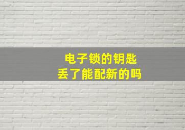 电子锁的钥匙丢了能配新的吗