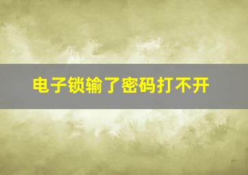 电子锁输了密码打不开