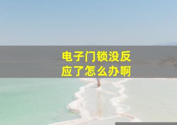 电子门锁没反应了怎么办啊