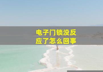 电子门锁没反应了怎么回事