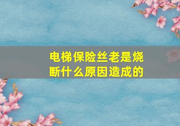 电梯保险丝老是烧断什么原因造成的