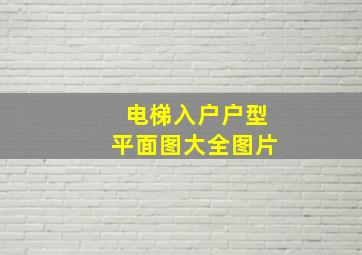 电梯入户户型平面图大全图片