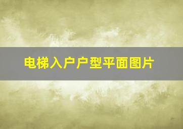 电梯入户户型平面图片