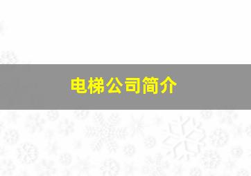 电梯公司简介