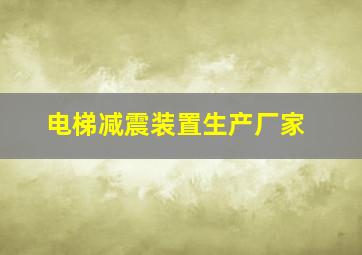 电梯减震装置生产厂家