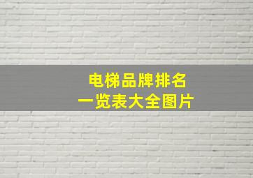 电梯品牌排名一览表大全图片