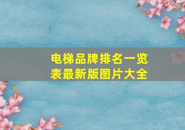 电梯品牌排名一览表最新版图片大全