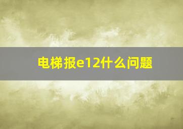 电梯报e12什么问题