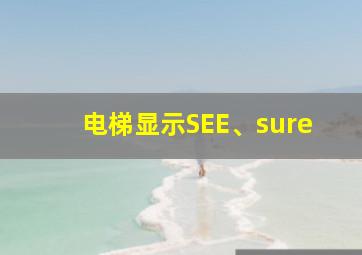 电梯显示SEE、sure