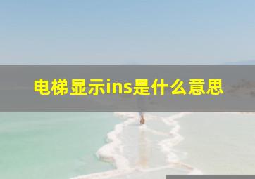 电梯显示ins是什么意思