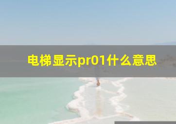 电梯显示pr01什么意思