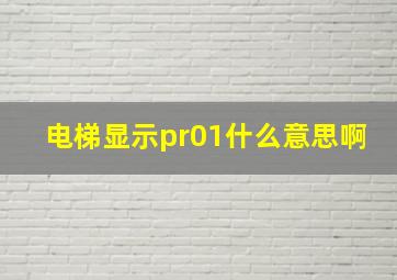 电梯显示pr01什么意思啊