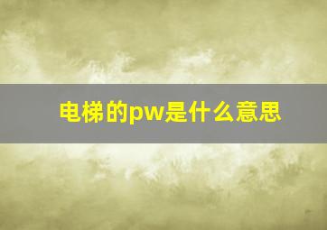 电梯的pw是什么意思