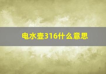 电水壶316什么意思