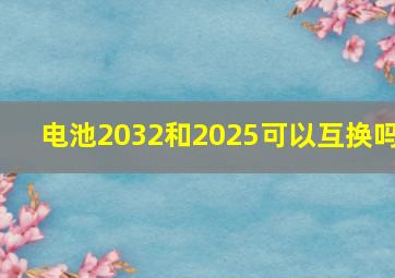 电池2032和2025可以互换吗